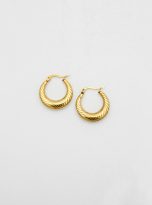 Shrimp Body Pattern Hoop Earrings Gold